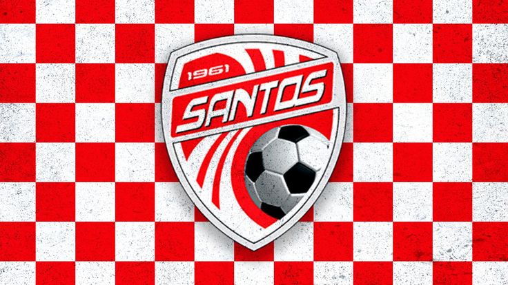 Santos de Guápiles A Determined Force in Costa Rican Football